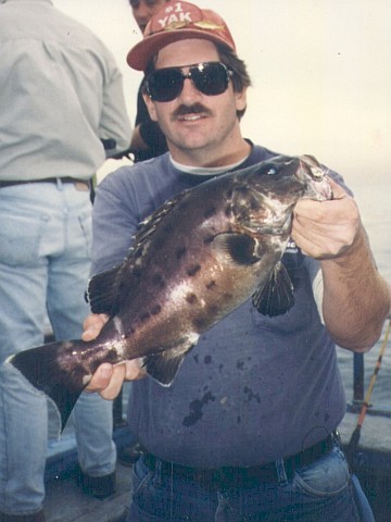 Peter holding a 2-foot-long giant sea bass