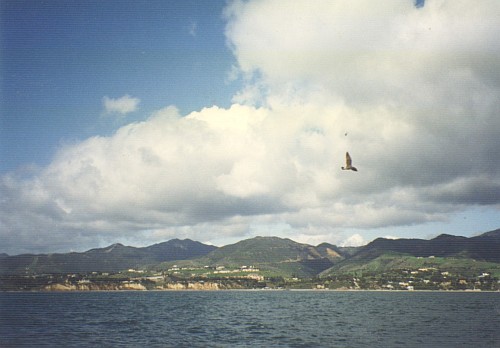 Malibu Coastline