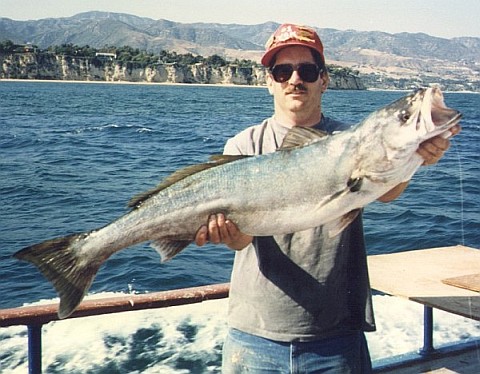 Peter holding a white seabass with Point Dume in the background